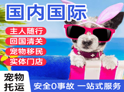 乌兰浩特义勒力特空运公司国际宠物托运 【国